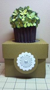 Green Cupcake and Coordinating Box