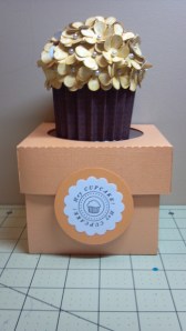 Yellow Cupcake and Coordinating Box