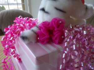 Close Up of Present Back