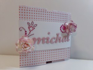 Belly Band Mini Album