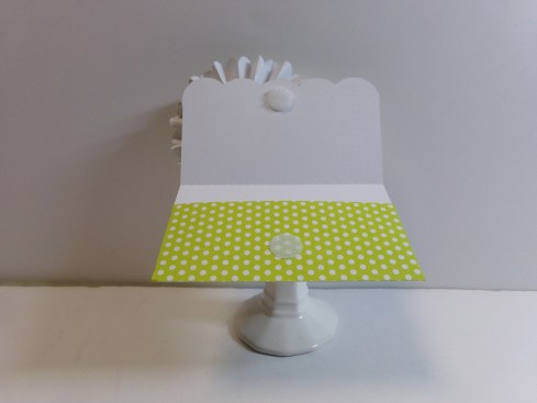 Rosette Gift Card Holder Opened